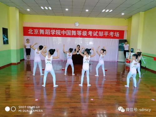 舞動(dòng)少年夢(mèng)，藝考新篇章——北京舞蹈學(xué)院教材少兒舞蹈考級(jí)鄒平站順利推進(jìn)